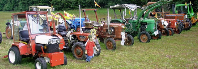 Die alten Traktoren faszinierten nicht nur die Kleinen.  | Foto: Andreas Ungerer