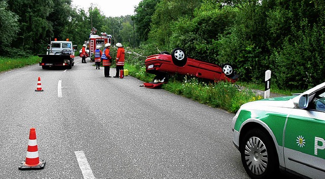 Wie ein hilfloser Kfer auf dem Rcken... im Gebsch und muss geborgen werden.   | Foto: Dieter Fink