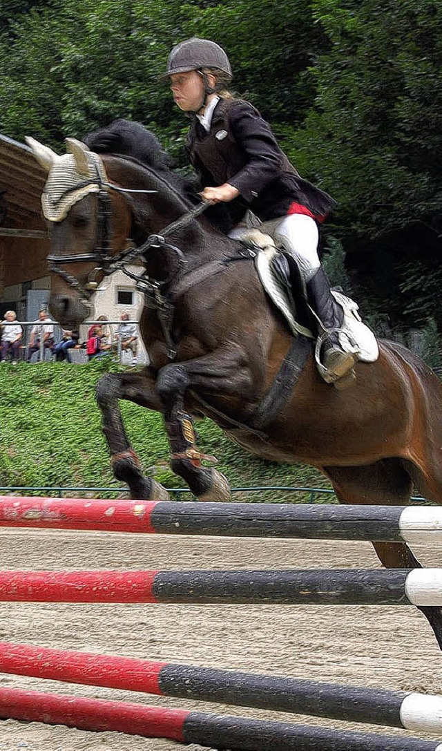 Konzentriert lenkt Saskia Kumpf  ihr Pferd Dorothy ber das Hindernis.  | Foto: georg jger