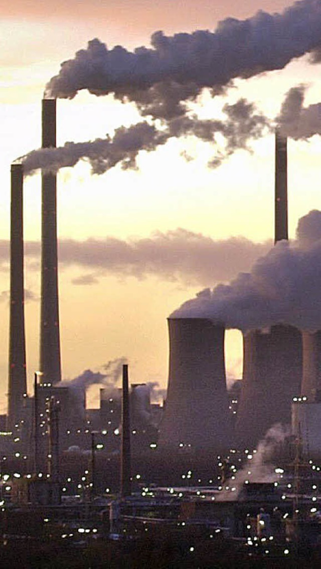 Das Land soll am Handel mit Emissionsrechten mit verdienen.  | Foto: ddp
