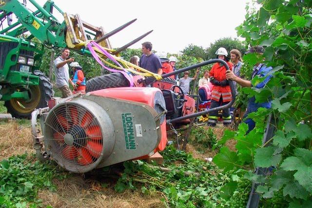 Unfall in Binzener Reben: Traktor strzt auf Fahrer