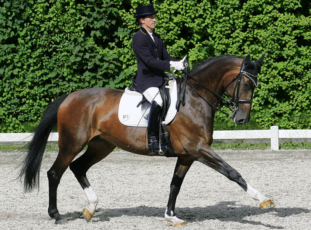 Dressur-Hütchen Für Pferde - 8 Buchstaben A,B,C,E,F,H,M,K, 23cm