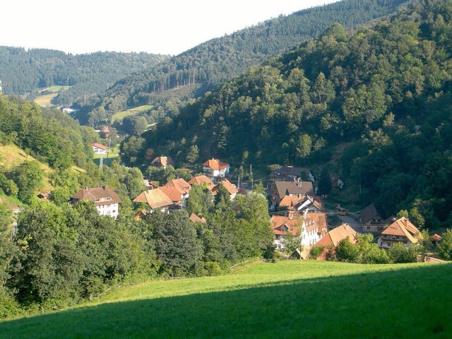 Der Ortschaftsrat Oberprechtal sagt Ne... Teil des &#8222;Innenbereichs&#8220;.  | Foto: Roland Gutjahr