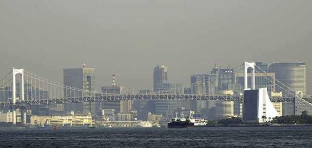 Die Skyline von Tokio liegt unter einer dicken Smogdecke.   | Foto: AFP/www.sej.co.jp