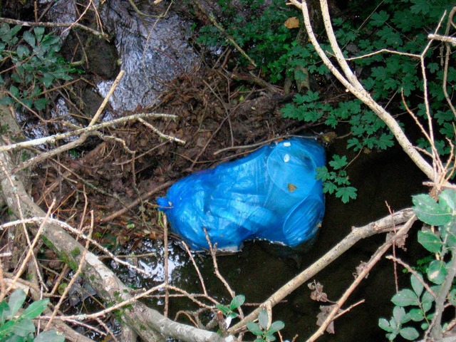 Nicht nur tote Fische finden sich im F... zur Pumpstation  beim Riedlinger Bad.  | Foto: Markus Maier