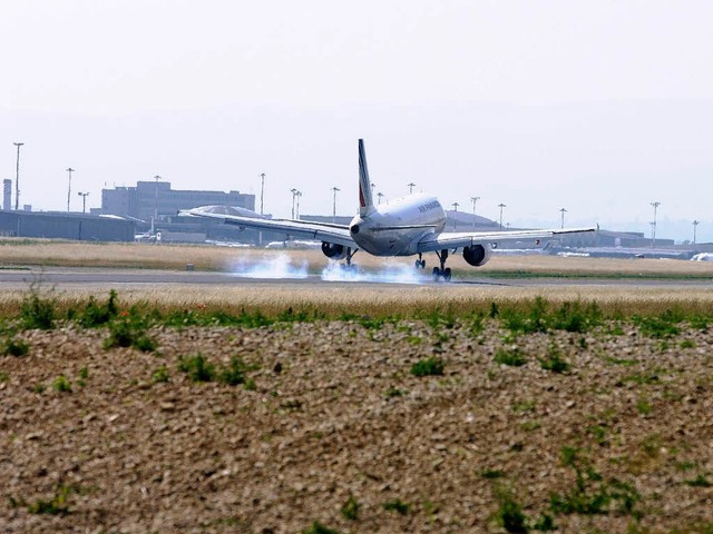 Landung von Sden whlen die Gemter auf  | Foto: Euro-Airport