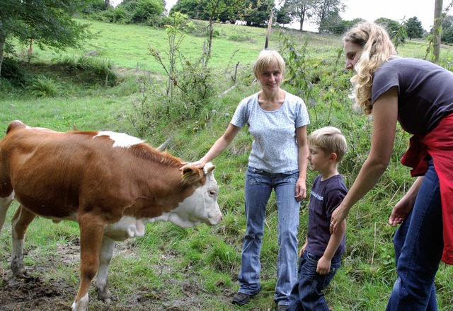 Kind und Kuh auf der Weide von Landwir...iden  Seiten  vorsichtige Annherung.   | Foto: Karin  Maier