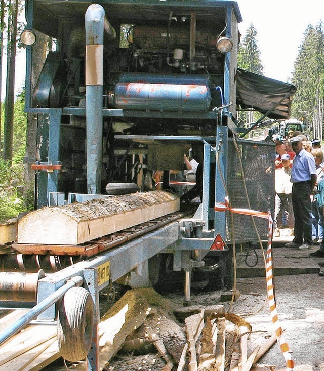 Holz ist derzeit auch fr Brunlingen eine gute Erwerbsquelle.    | Foto: BZ