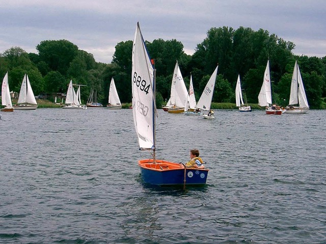 Bei guten Windverhltnissen fand auf dem Rhein eine Segelregatta statt.  | Foto: privat