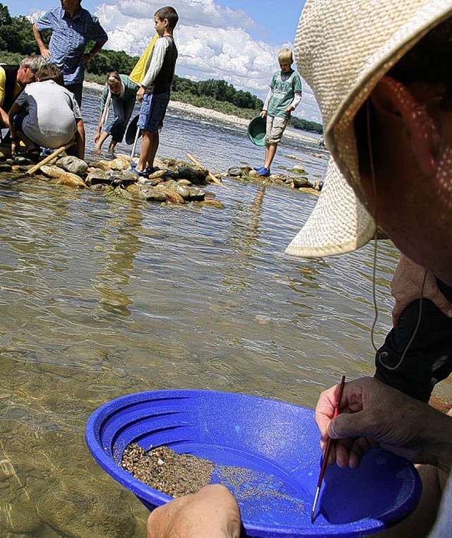 Wer im Rhein nach Gold sucht, braucht vor allem eines &#8211; Geduld.   | Foto: Sebastian hautli