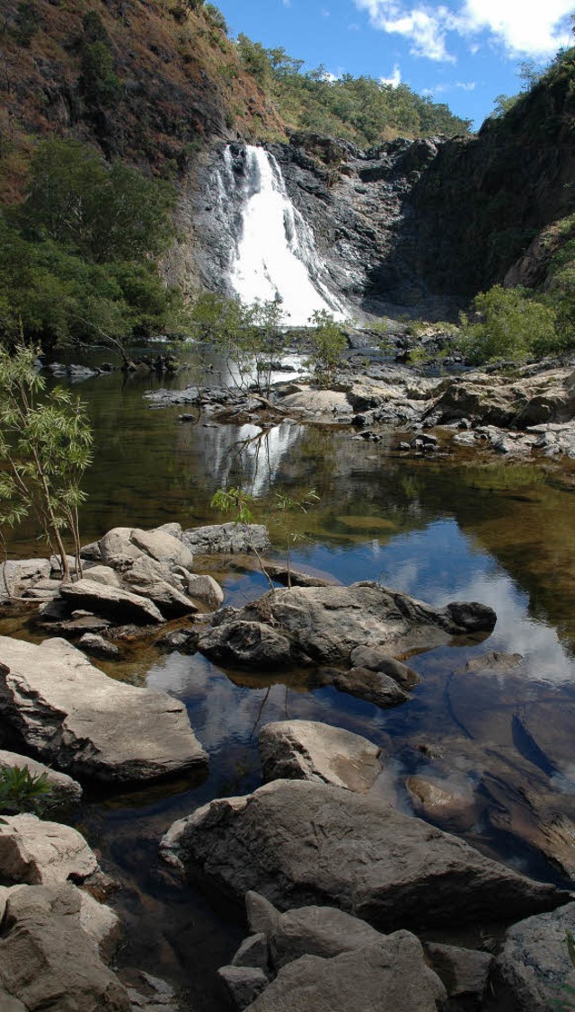 Der Bloomfield-Wasserfall, ein Engerling (links)  und  ein Ureinwohner  (rechts) 
