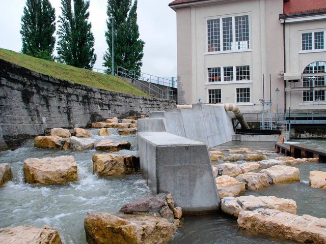 Der Fischaufstieg wird gut angekommen.  | Foto: Ralf Staub