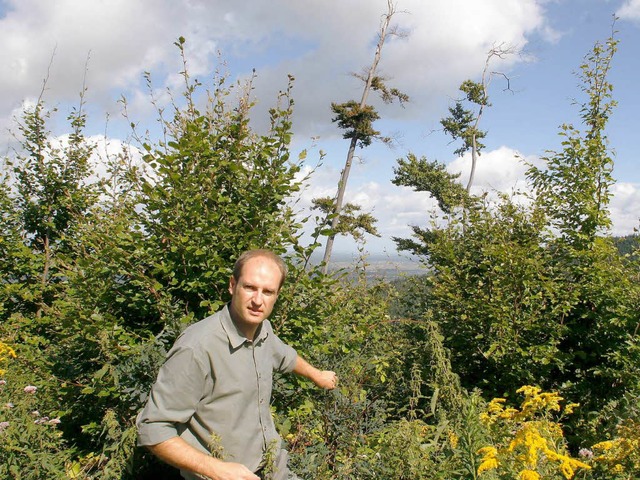 Frster Christian Junele begutachtet  den Baumbestand.  | Foto: Heidi Foessel