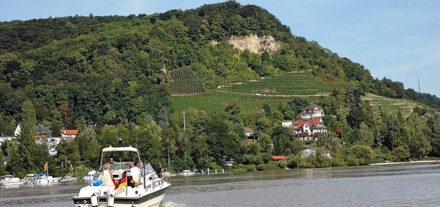 Die Fahrt fhrte auch am Grenzacher Hornfelsen vorbei.   | Foto: Heinz Vollmar