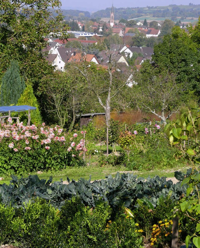 Grten und Felder: Der Marchhgel, hie...bekannter reizvoller Landschaftsraum.   | Foto: privat