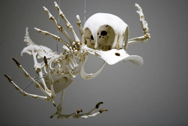 Bilder des Tages: komische skelette