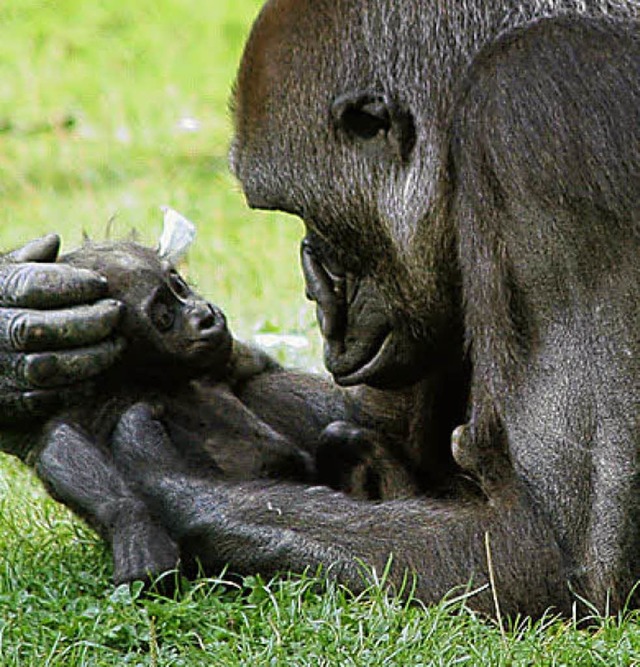 Gana hlt ihr totes Baby Claudio ganz behutsam.    | Foto: dpa