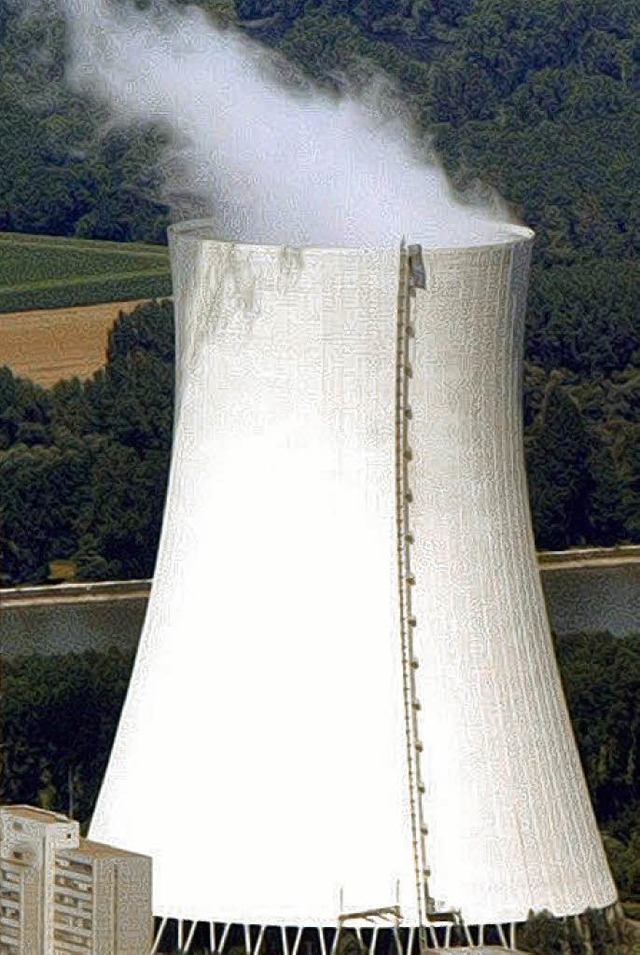 Das Kernkraftwerk Philippsburg wird mit Wasser gekhlt.   | Foto: dpa