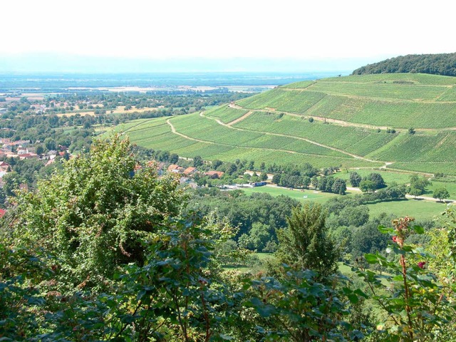 Die in Hgel und Reben gebettete Lands...rflerlandes lockt viele Feriengste.   | Foto: Umiger