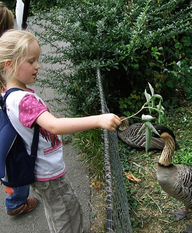 Ob die Gans wohl Bltter mag? 