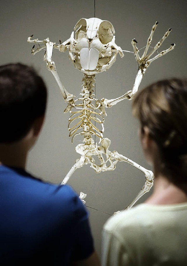 Auch die Skelette von Comic-Figuren werden gezeigt.    | Foto: dpa
