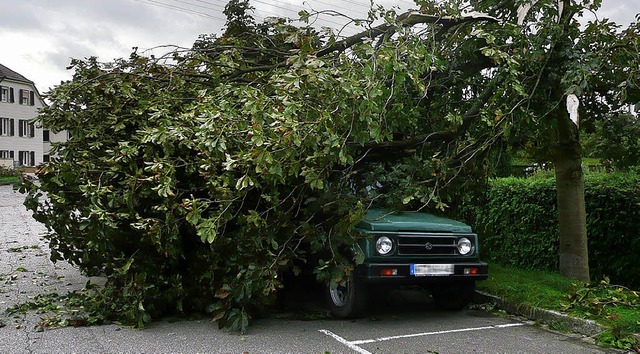 Wohl behtet im Natur-Carport: Noch ge...aldfriedhof die Folgen des Unwetters.   | Foto: PETER MEISTER