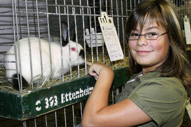 Preisrichter bewerten 162 Kaninchen