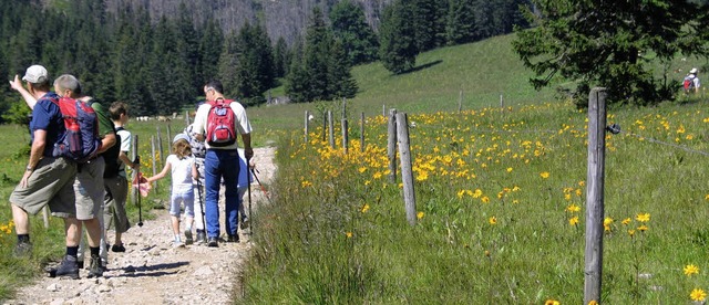 So intensiv wie schon seit Jahren nich...Pflegemanahmen des Bergwaldprojekts.   | Foto: Thomas Winckelmann