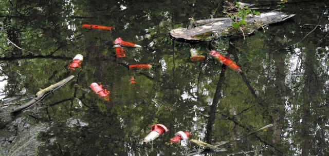 Diese Kabelreste im Krebsbach riefen P...und Naturschutzbehrden auf den Plan.   | Foto: truz