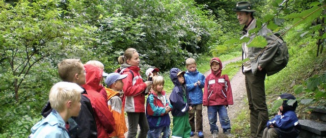 In den Wald zum Bienenhausbau fhrte F...dchen beim Brchauer Ferienprogramm.    | Foto: Privat