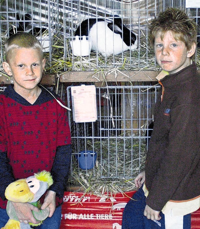 Kaninchen begeisterten auch Kinder  be...ierzuchtverein Waldshut ausrichtete.    | Foto: Ebner