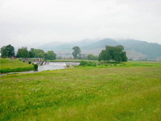 Die geplante Wasserkraftanlage am Groen Deich.   | Foto: Landratsamt