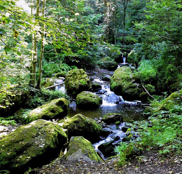 Naturidylle  pur:  Ein SWR-Fernsehteam...ennaschlucht und auf dem Heimatpfad.    | Foto: T.Winckelmann