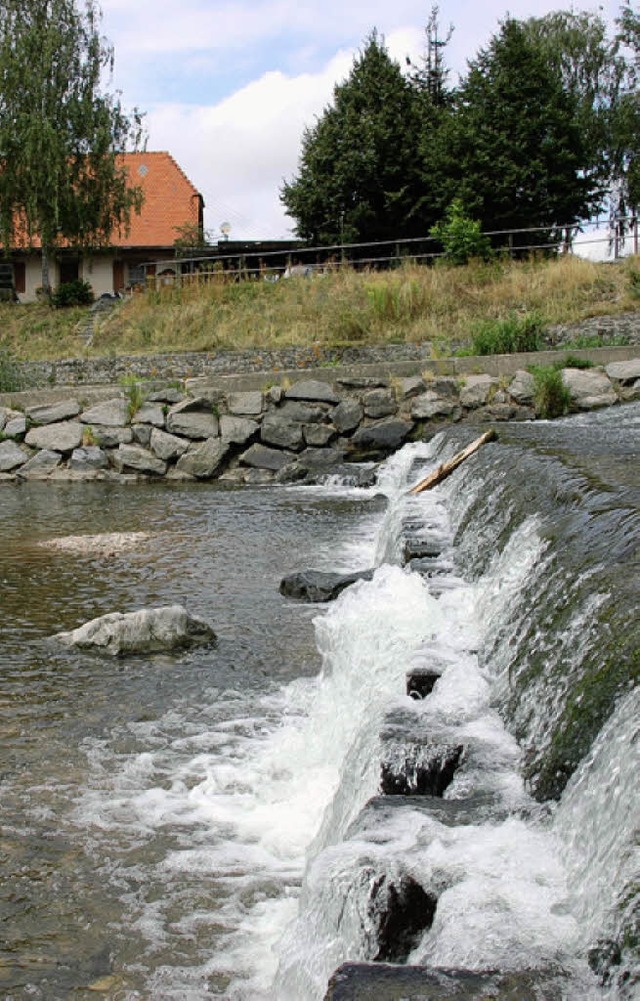 Das E-Werk Mittelbaden darf am Groen Deich eine Wasserkraftanlage bauen.  | Foto: bz