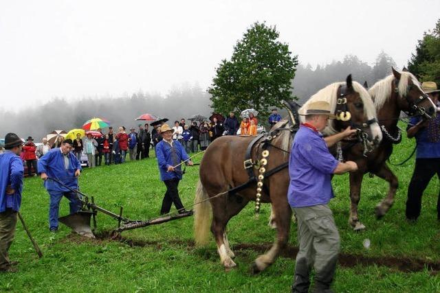 Bald wieder Brauchtumsfest