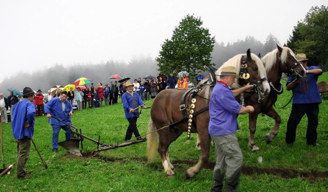 Pflgen mit Pferden war nur etwas fr ...st in Raich zeigt, wie es einmal war.   | Foto: Sonja Eiche