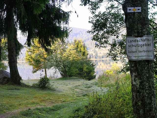 Am  alten Campingplatz  wird eine Toilette nicht genehmigt.  | Foto: Klaiber