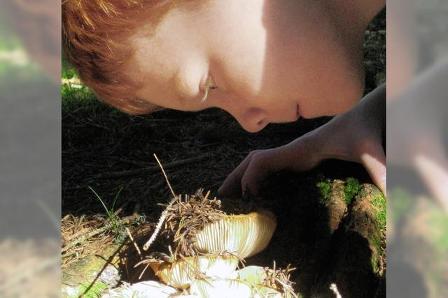 Pilz-Sonntag fr Kinder