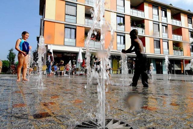 Reingel im Springbrunnen