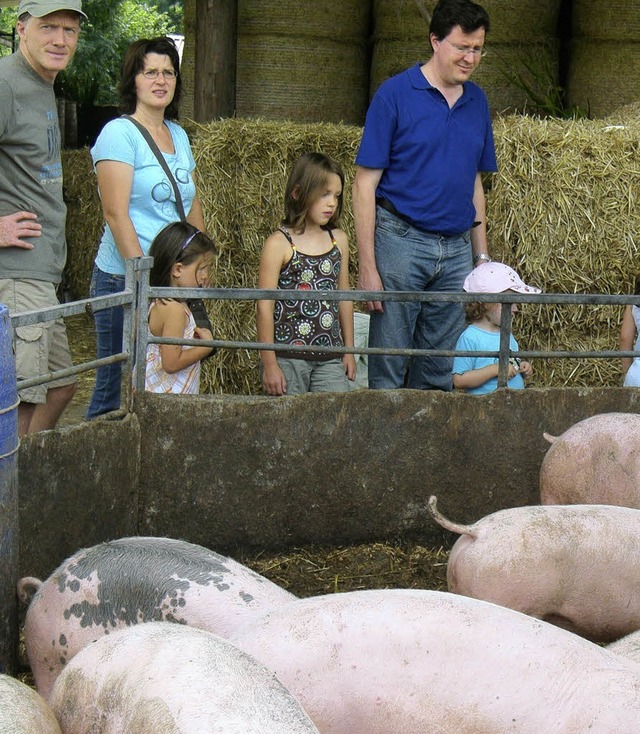 Glserne Produktion:  Landluft und zufriedene Schweine  | Foto: ams