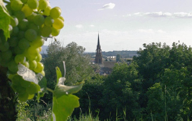 Blick vom Kndringer Rebberg 