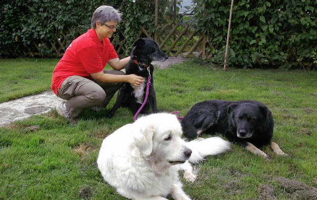 Franziskus Hundeland Hundeschule Maulburg 