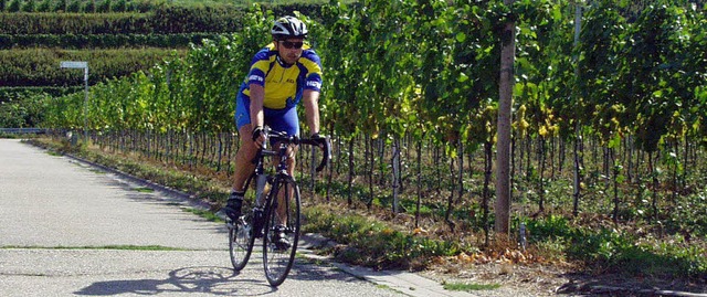 Radeln durch die Reben  bei der 30. Kaiserstuhl-Tuniberg-Radwanderfahrt        | Foto: Esser