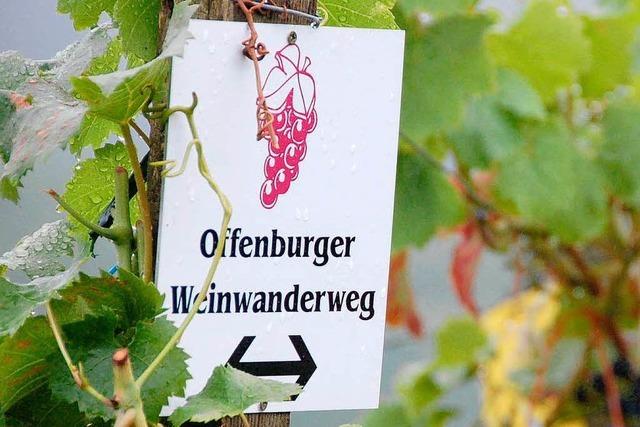 10. Offenburger Weinwandertag