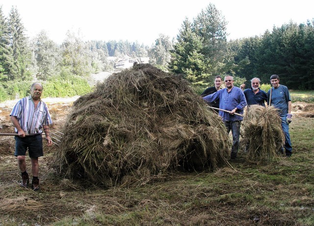 Das geht in die Arme: die  freiwilligen ko-Helfer beim Arbeitseinsatz.   | Foto: gert brichta