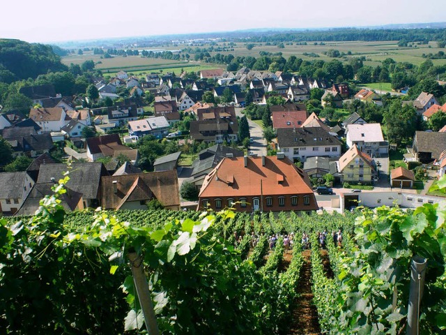 Ganz im Zeichen des Schlossfests steht der Ort Hecklingen am Wochenende.   | Foto: Trul