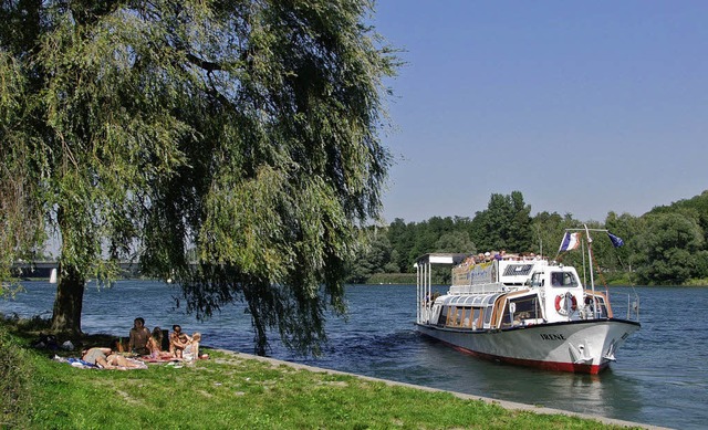 Die Rheininsel bei Sasbach: Im Sommer ...ch grenzberschreitend veranstalten.    | Foto: Hans-Jrgen Trul