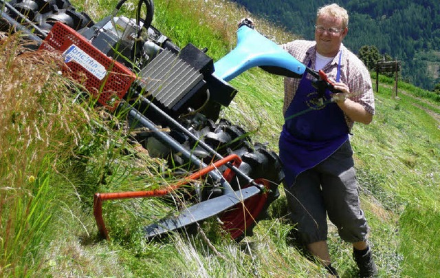 Gar nicht so einfach, das Mhen am Ber... fr die Khe wird maschinell  gemht.  | Foto: Rolf Mller