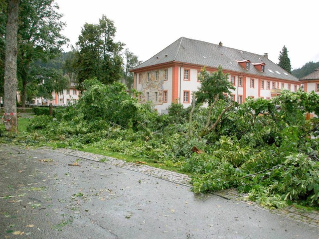 Der Kurgarten beim Domplatz nach dem Unwetter.   | Foto: B