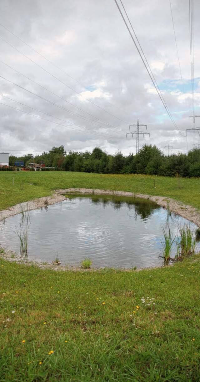 Teure Pflicht:  Der Bau von  Regenber...  zeigt   ein Becken  bei  Eimeldingen  | Foto: Markus  Maier